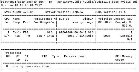 Running the `nvidia-smi` command in the Docker container.