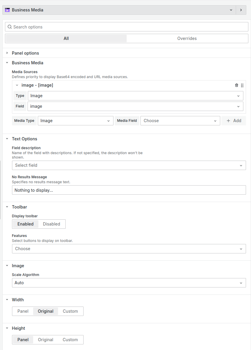 Business Media panel options.