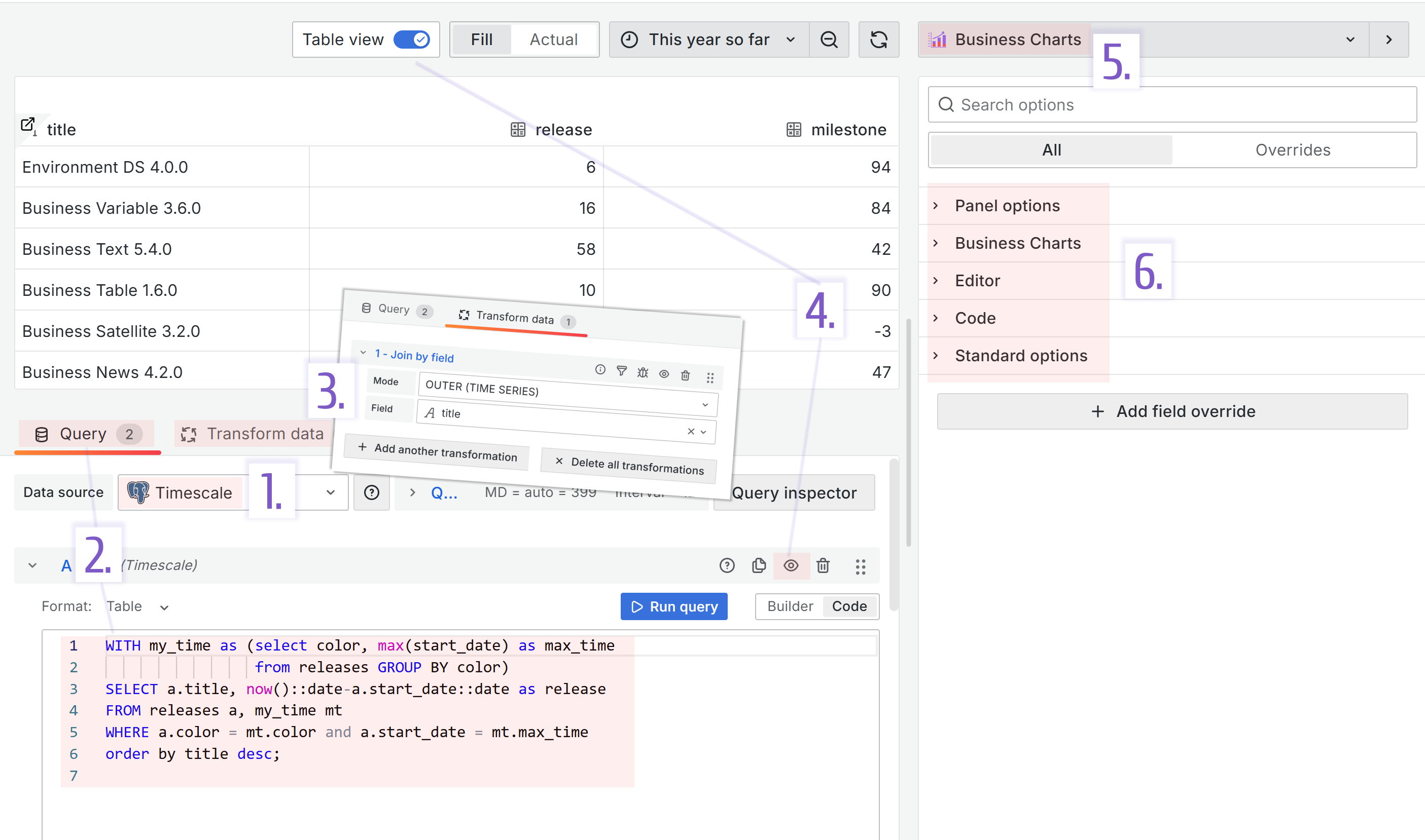 Any visualization panel configuration steps.