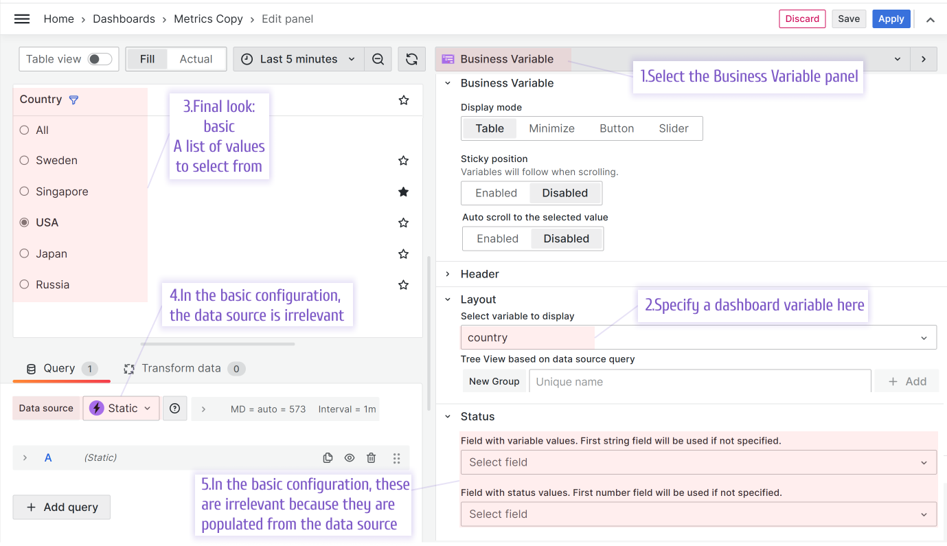 How to set up the Basic Business Variable panel view.